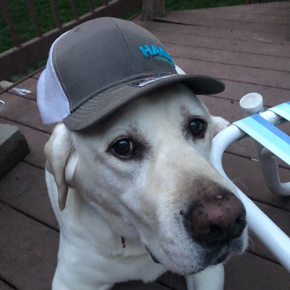 Meet your Posher, Fred - Picture 1 of 1